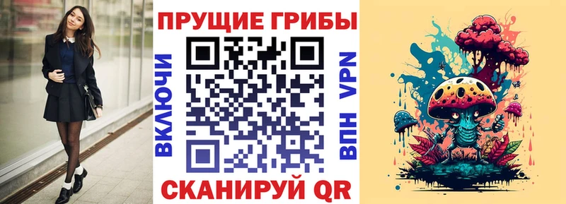 блэк спрут онион  Уржум  Галлюциногенные грибы мицелий 